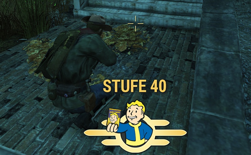 4 Bilder Ein Wort Level 462